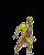 /album/maska/maska-002-gif/